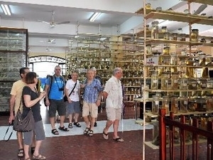Over 60 percent of foreign tourists return to Khanh Hoa